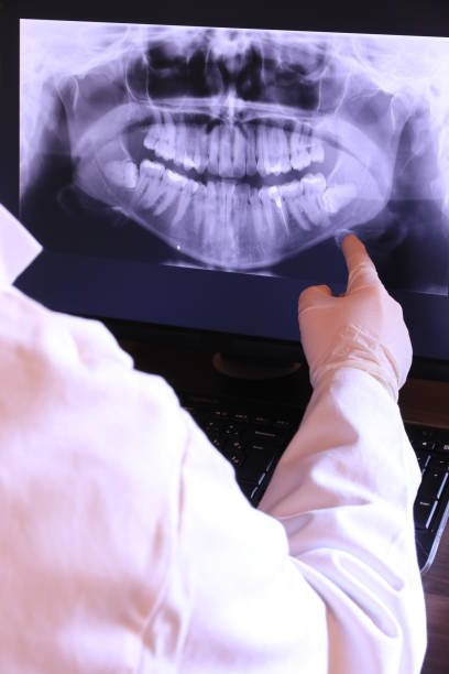 Best Emergency X-Rays and Diagnostics in Rockland, ME